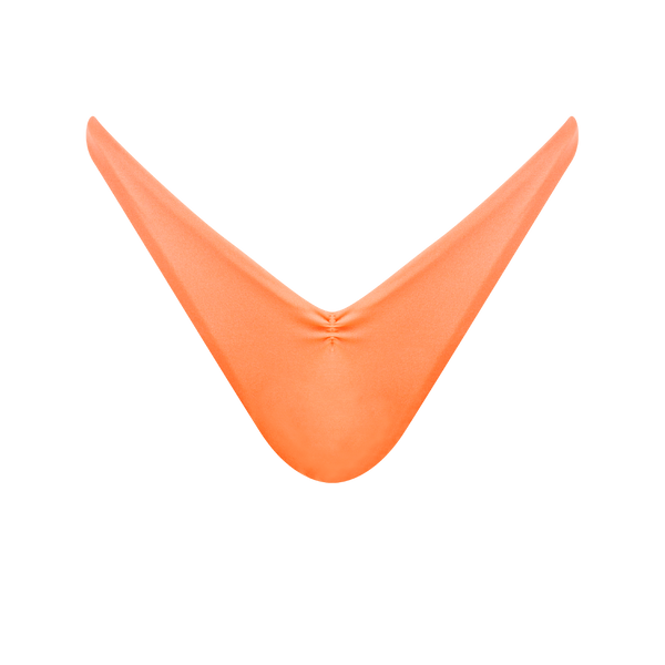 CALYPSO - GIAA - BOTTOM